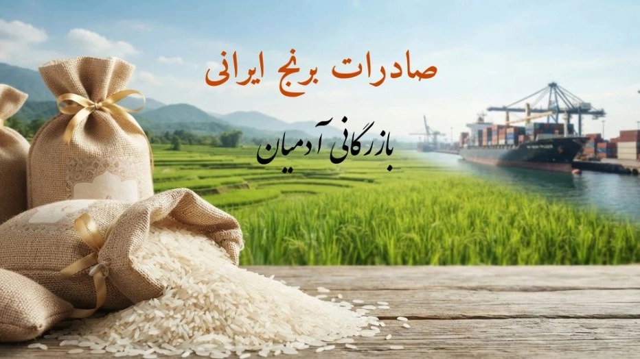 خرید و صادرات برنج ایرانی با کیفیت بالا از بازرگانی آدمیان